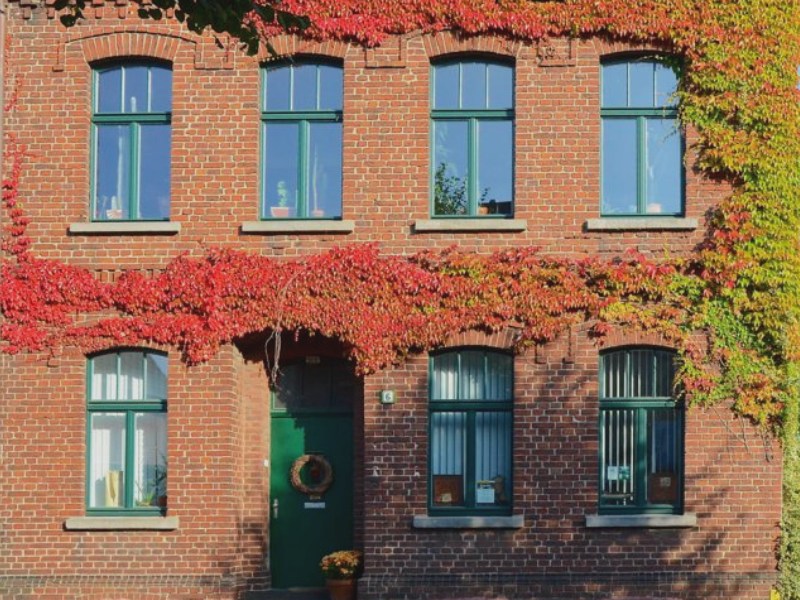 Moderne Fenster mit schmalen Profilen reduzieren den Wärmeverlust Gut isolierende Fenster mit schmalen Profilen reduzieren Wärmeverlust und unterstreichen den Altbau-Charme
